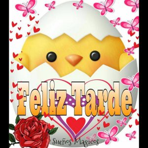 Feliz tarde