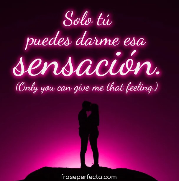 Las mejores y bonitas frases de amor para dedicar a mi pareja Las mejores y bonitas frases de amor para dedicar a mi pareja