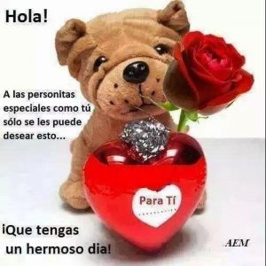 buenas noches hermosa noche