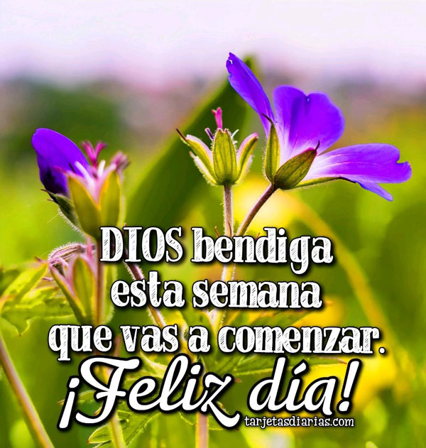 FELIZ DÍA frases bonitas y cortas para mi amor, para amigos y cristianas