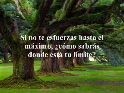 Paisajes de amistad hermosos con frases y mensajes