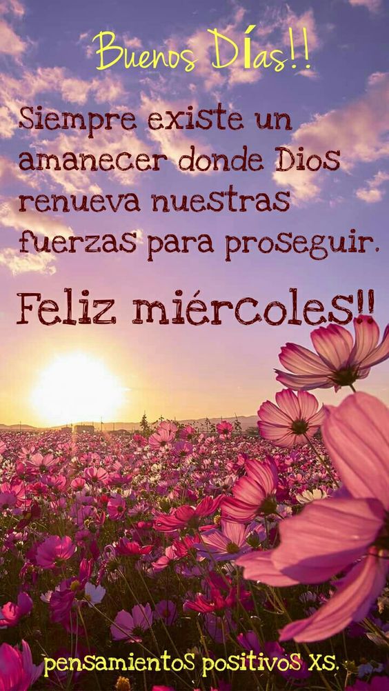 Feliz miércoles frases saludos y bendiciones para familia y amigos