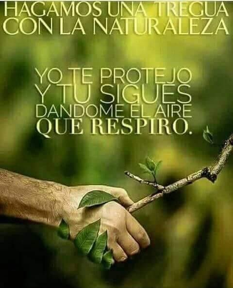 Frases de amor a la naturaleza cortas, cuidar el medio ambiente