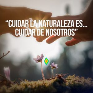 Frases de amor a la naturaleza cortas, cuidar el medio ambiente