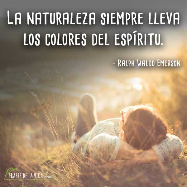 Frases de amor a la naturaleza cortas, cuidar el medio ambiente