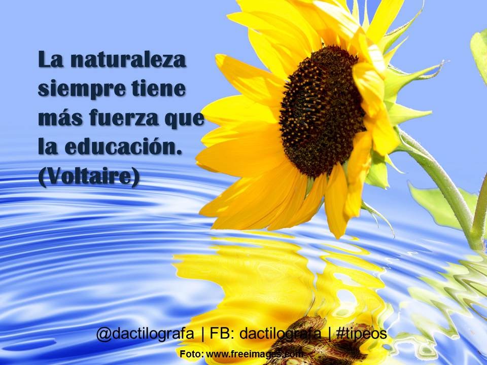 Frases de amor a la naturaleza cortas, cuidar el medio ambiente