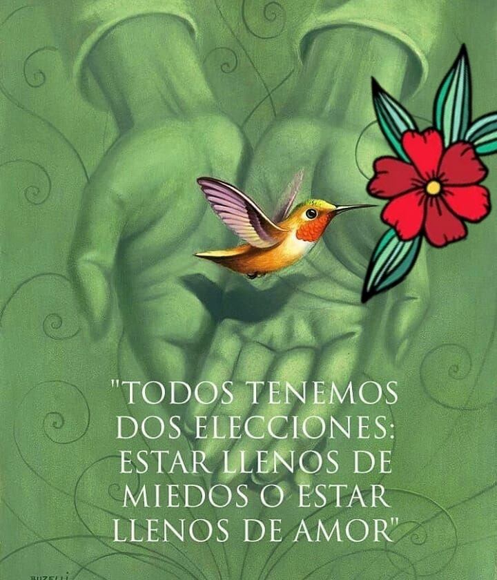 Las mejores frases sabias de la vida para inspirarte y reflexionar Las mejores frases sabias de la vida para inspirarte y reflexionar